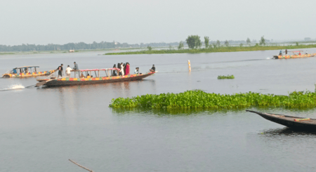 নওগাঁর হাঁসাইগাড়ী বিলের সৌন্দর্য দেখতে প্রতিদিন ভীড় করছে হাজারো পর্যটক