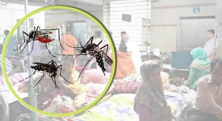 ডেঙ্গুতে আরো ৬ জনের মৃত্যু dengue