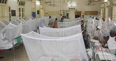 ডেঙ্গুতে আরও ৫ জনের মৃত্যু, শনাক্ত ১১৫২ Dengue