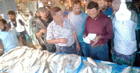 ফরিদপুরে ইলিশের আড়তে অভিযান, ২০ হাজার টাকা জরিমানা Faridpur