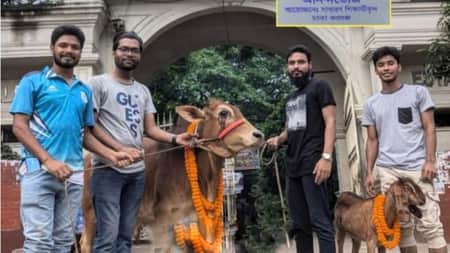 ছাত্রলীগ নিষিদ্ধের খুশিতে ঢাকা কলেজে গরু-খাসি জবাই করল সাধারণ শিক্ষার্থীরা