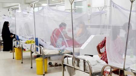 ডেঙ্গুতে আরও ৫ জনের মৃত্যু Dengue