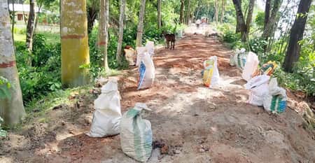 সড়কের ইট তুলে বাড়ি নিয়ে যাচ্ছে গ্রামবাসী ইট