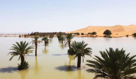 অর্ধশতাব্দী পর সাহারায় প্রথম বন্যা Sahara