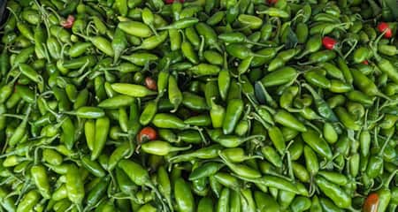দামে আগুন, ১২টি কাঁচামরিচের দাম ৩০ টাকা chili-1
