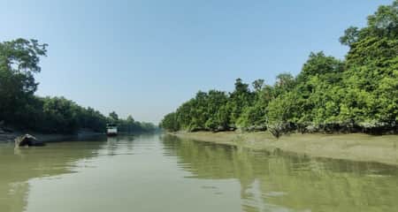 যেসব কারণে সড়কপথে সুন্দরবন যাওয়া পর্যটক কমছে