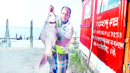 পদ্মার এক কাতলের দাম ১৬ হাজার ৯শ’ টাকা Katol