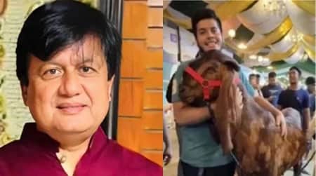 বিদেশ যেতে চান ছাগলকাণ্ডের সেই মতিউর, হাইকোর্টে রিট Motiur