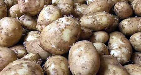 ৪০০ টাকা কেজিতে বিক্রি হচ্ছে নতুন আলু Natun Alu