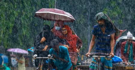 Rain