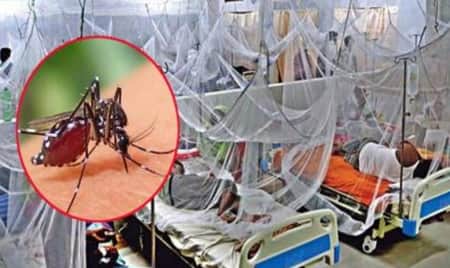 ডেঙ্গুতে আরও ৮ জনের মৃত্যু, হাসপাতালে ভর্তি সহস্রাধিক dengu