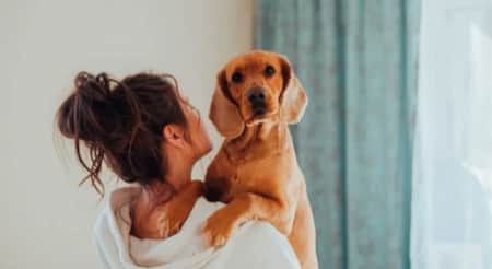 কুকুরের জন্য নিজের বিয়ে ভাঙলেন তরুণী Dog