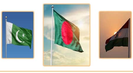 পাকিস্তানিদের জন্য ঢাকার ভিসানীতি শিথিল, উদ্বেগ জানালো ভারত Flag