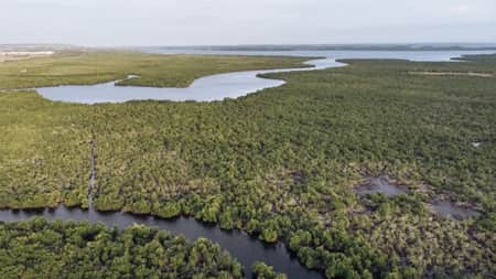 Nadi