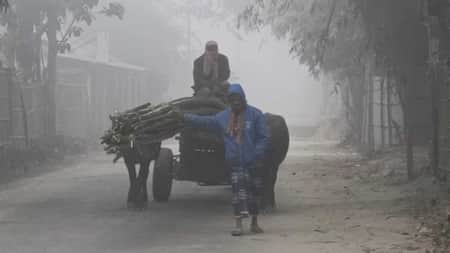 শীতের দাপট কমেছে, দেশের কোথাও শৈত্যপ্রবাহ নেই Cold