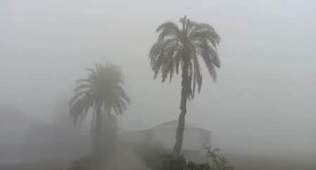 ২৪ জেলায় শৈত্যপ্রবাহ, অব্যাহত থাকার আভাস Cold