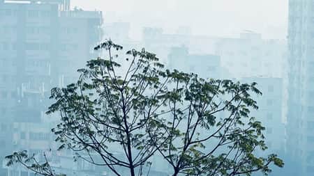 তিন জেলায় শৈত্যপ্রবাহ অব্যাহত, সারাদেশে তাপমাত্রা কমার আভাস শৈত্যপ্রবাহ অব্যাহত