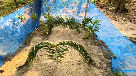 ছাত্রলীগ নেতা