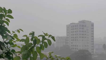 ঢাকার শীত নিয়ে নতুন তথ্য দিল আবহাওয়া অফিস আবহাওয়া