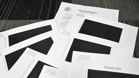 epstein files library