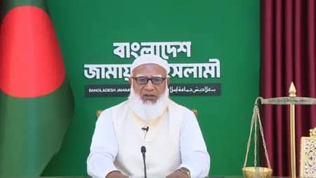 Amir