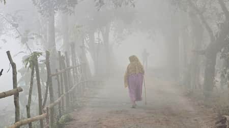 শীত