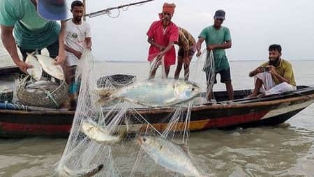মাছ ধরা নিষিদ্ধ