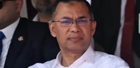 তারেক