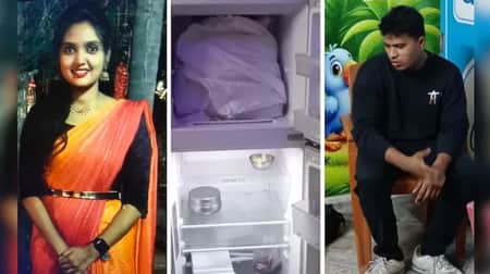 ফ্রিজে রাখলেন