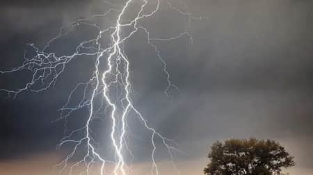 মৃত্যু