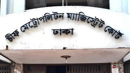 বিড়াল হত্যা