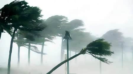ঝড়ো হাওয়া