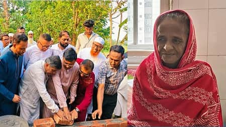 গোলাপি