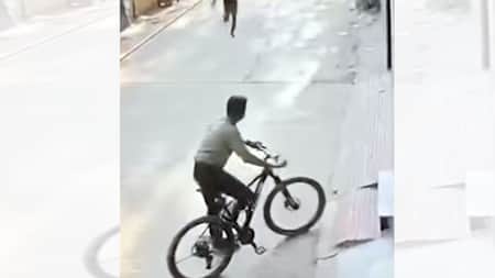 মোহাম্মদপুর রণক্ষেত্র