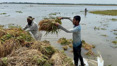 ধান ক্রয় শুরু