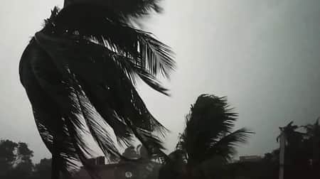 বৃষ্টি
