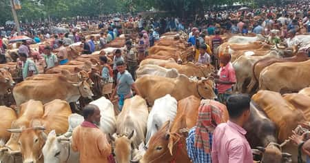 কোরবানিতে দেশব্যাপী পশুর হাট বসছে ৩ হাজার ৬০০টি, রাজধানীতে ২৭ পশুর হাট