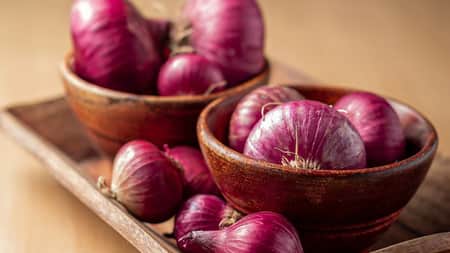 Onion