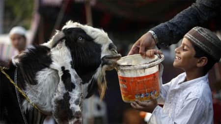 Qurbani