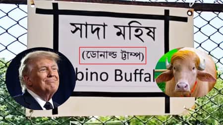 বদলি