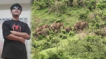নেত্রকোনায় হাতির আক্রমণ
