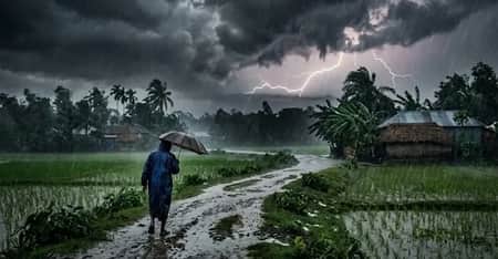 rain