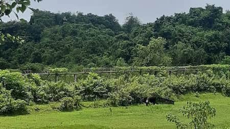 সীমান্তে মাইন বিস্ফোরণ