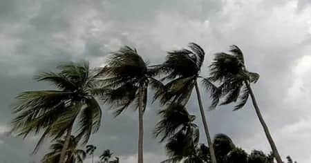 ঝড়ের শঙ্কা