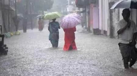 Havy-Rain