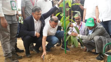 বৃক্ষরোপণ কর্মসূচি
