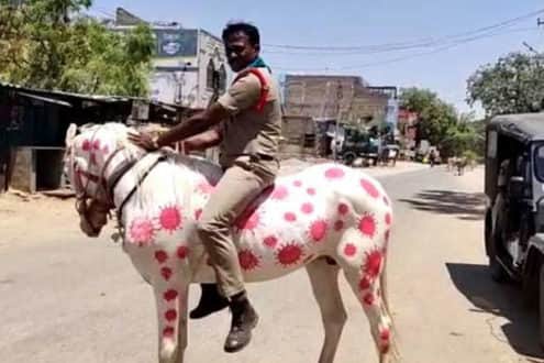 ঘোড়ার শরীরে করোনাভাইরাস!
