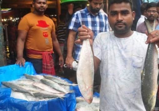 ৬০০ টাকায় বিক্রি হচ্ছে এক হালি ইলিশ