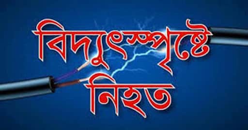 বিদ্যুৎস্পৃষ্ট হয়ে সেনা সদস্যের মৃত্যু