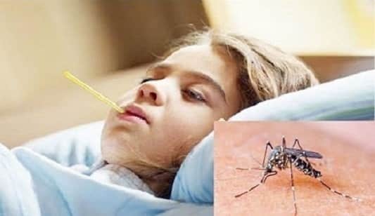 করোনাকালে ডেঙ্গু জ্বর